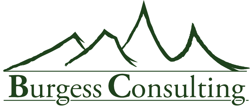 Burgess Consulting Logo
